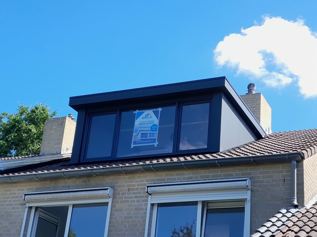 dongen